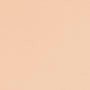 BEIGE 1