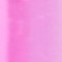 Rosa 2