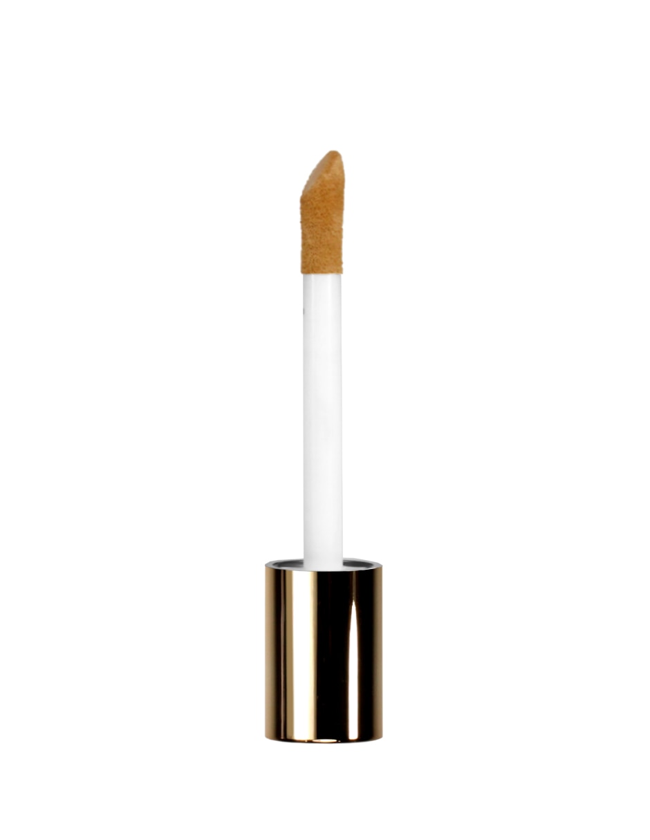 Corrector 2