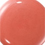 CORALICIOUS 2
